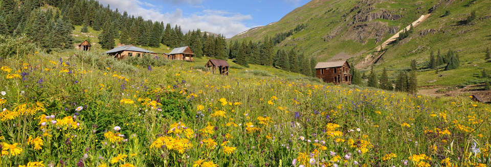 Animas Forks - Copyright Silverton Web Works