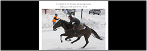 Silverton Skijoring Silverton Skijoring